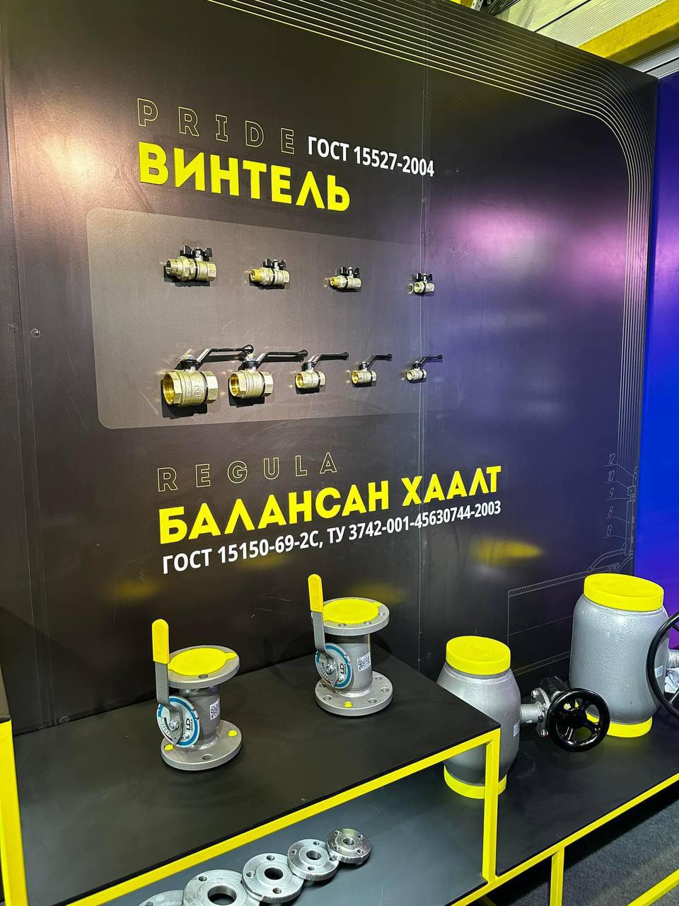 Курс на взаимовыгодное сотрудничество: Челябинск — Улан-Батор